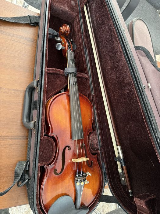 Старая скрипка (исползыванный)