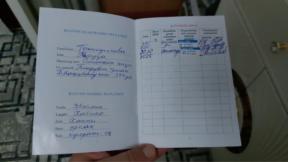 Продаётся собака породы хаски