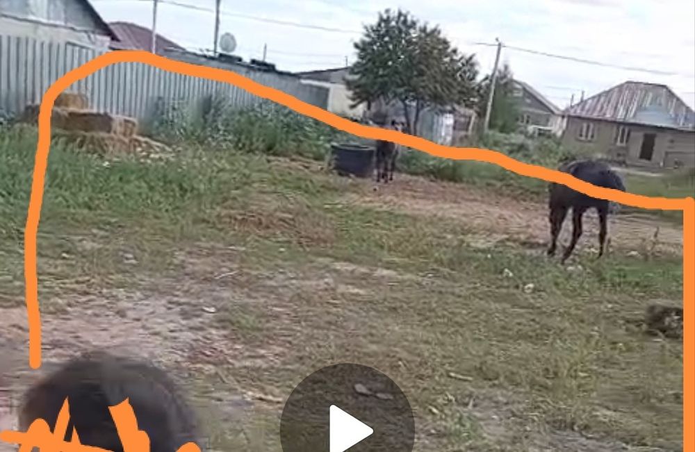 Земельный участок Жибек жолы