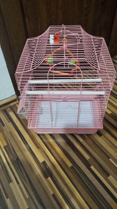 De vanzarei peruși,ninfe,agapornisi,