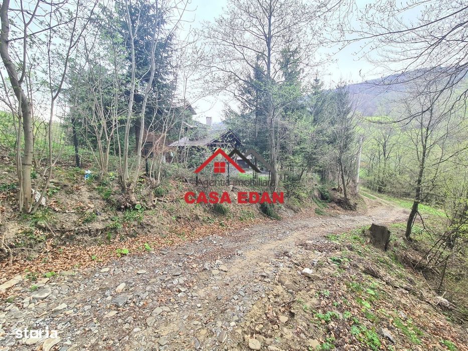 Teren intravilan in Valea Doftanei - Parajul Paltinu--1000 mp--120e