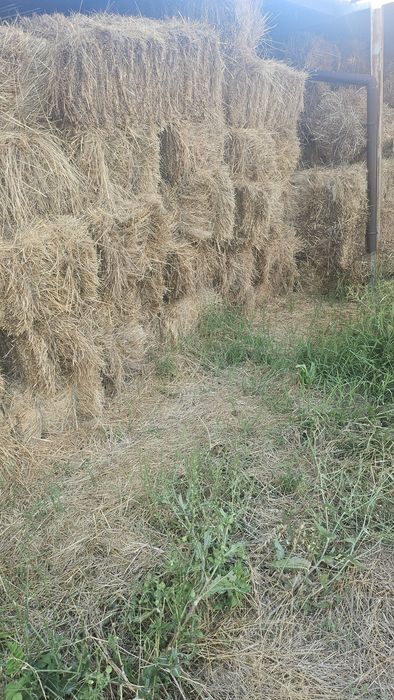 Продавам ливадно сено