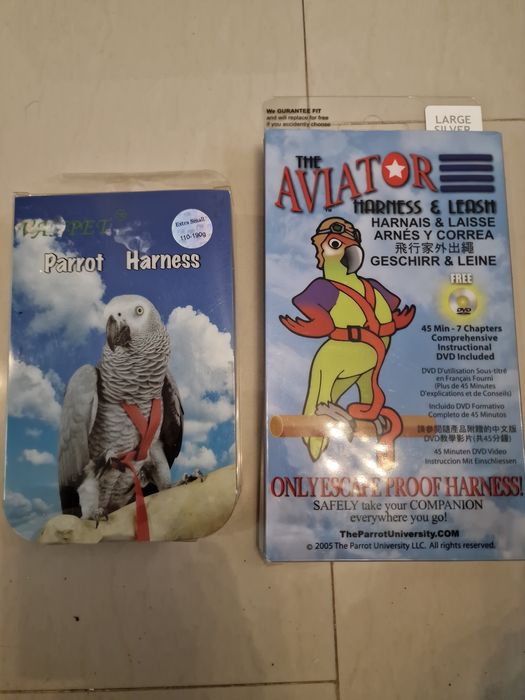 Ham papagal Ara Jako Aviator