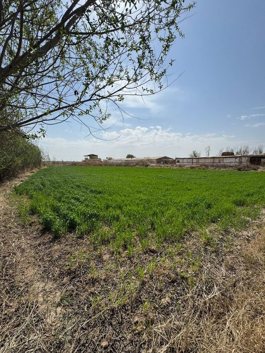 Ферма турор жой 6600 кв +3000кв ер