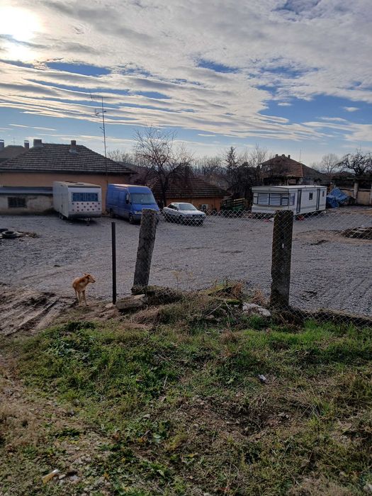 Давам дворно място под наем 30лв.
