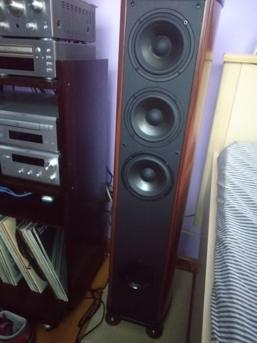 Акустика swans diva