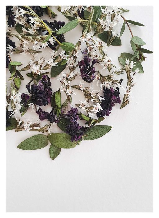 Естествени, сухи мини рози, сухи цветя за декорация