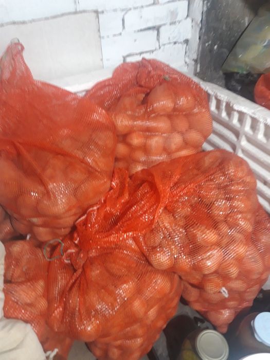 Продаю домашнюю картошку.