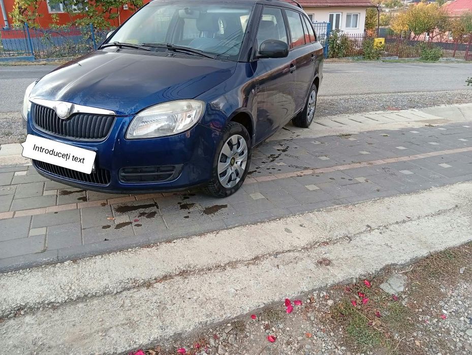 SKODA Fabia 2009 — imagine 5