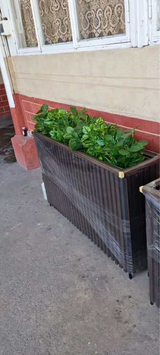 Gul tuvak Кашпо kafe restoran fastfood