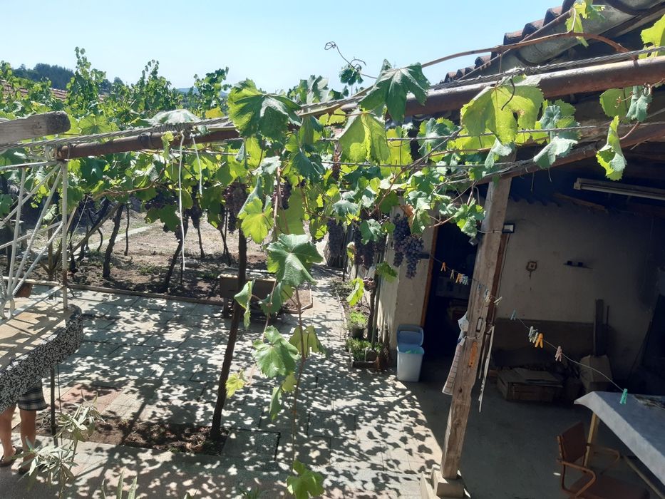 Къща в с. Церово