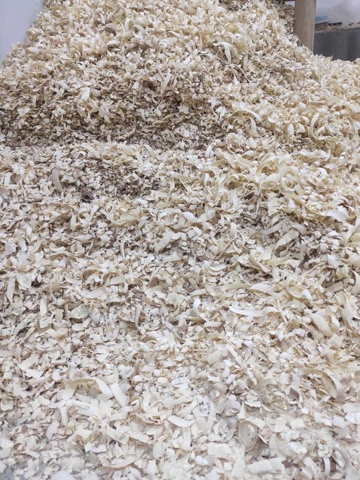 Apilka.apilka. 20 000