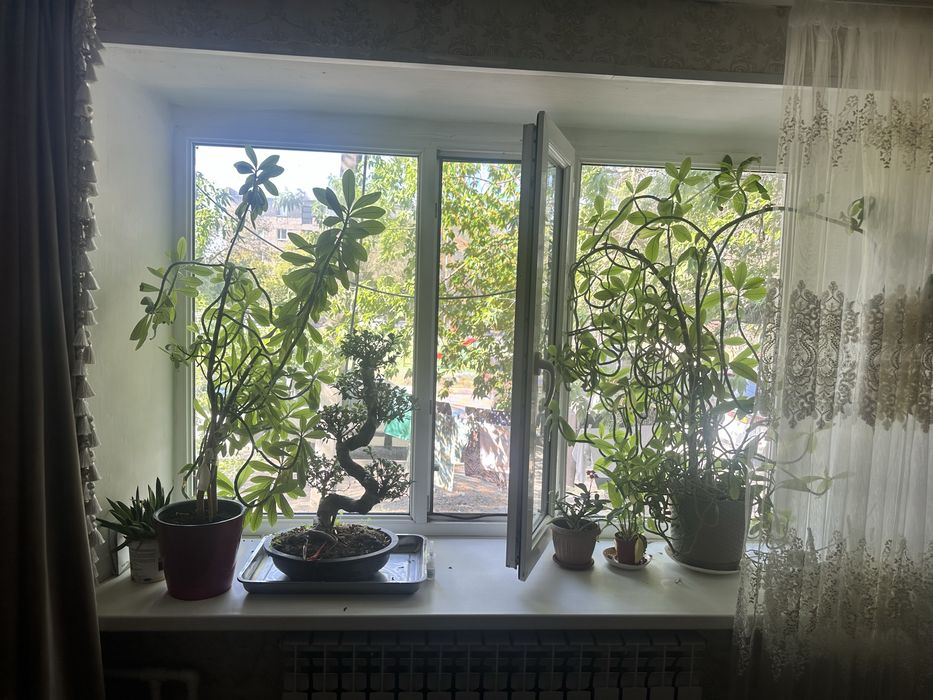 Продам стекло пакет