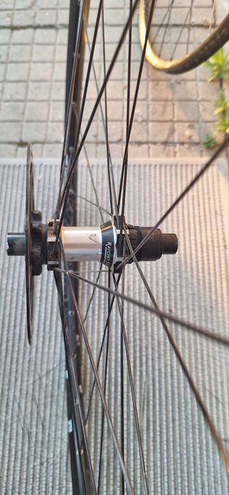 Капли DT Swiss spine2 1700