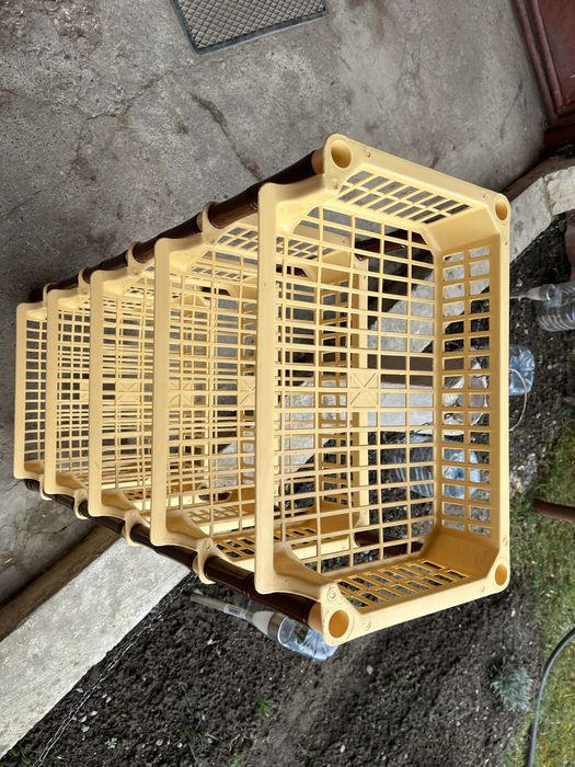 Etajera plastic legume fructe