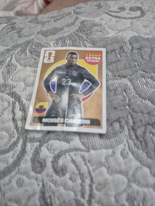 Vand moises caicedo extra stiker gold world cup 2026