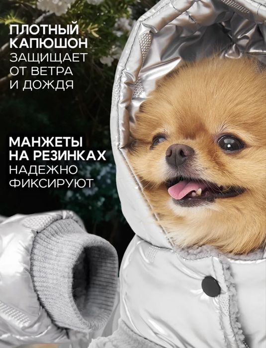 Срочно продам комбинезон для собаки