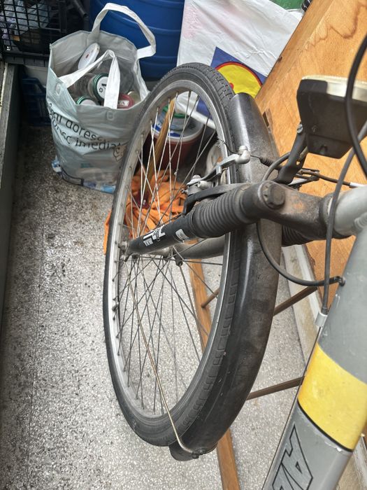 Bicicleta Alu-Rex cursiera