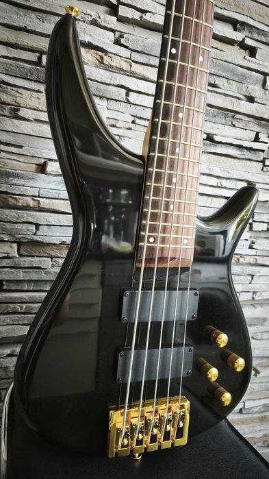Chitara bass 5 corzi Project cheite Guyker - Garantie