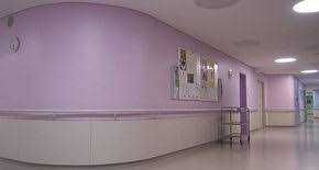 Антибактериальная краска с ионами серебра для мед.учреждений (Испания)