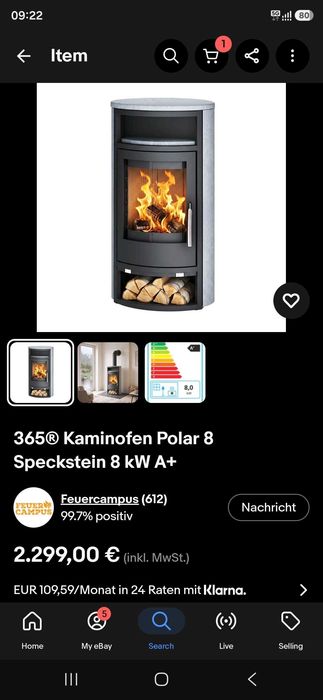 Semineu pe lemne Germania