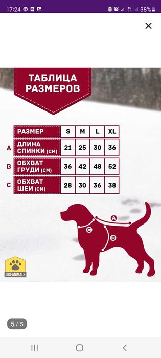 Комбинезон  для мелкой собаки premium