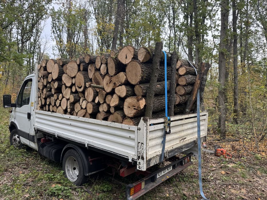 Lemne de stejar de vanzare