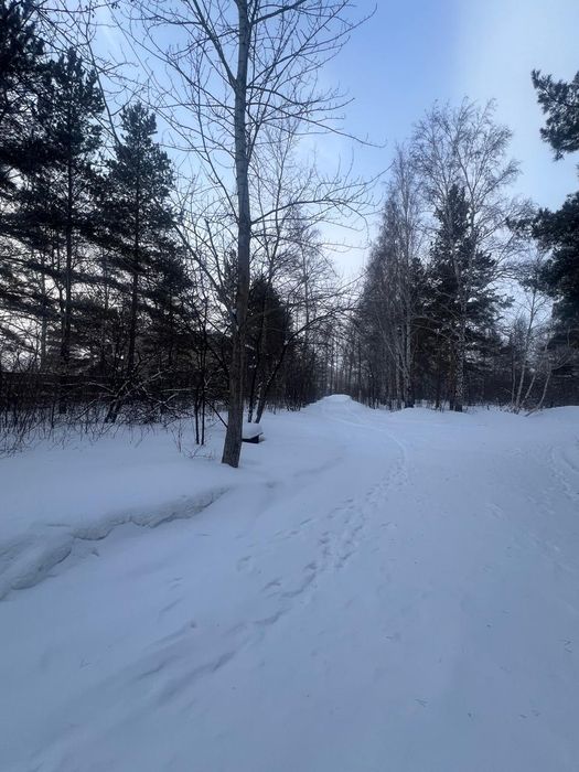 Сдам/Продам здание