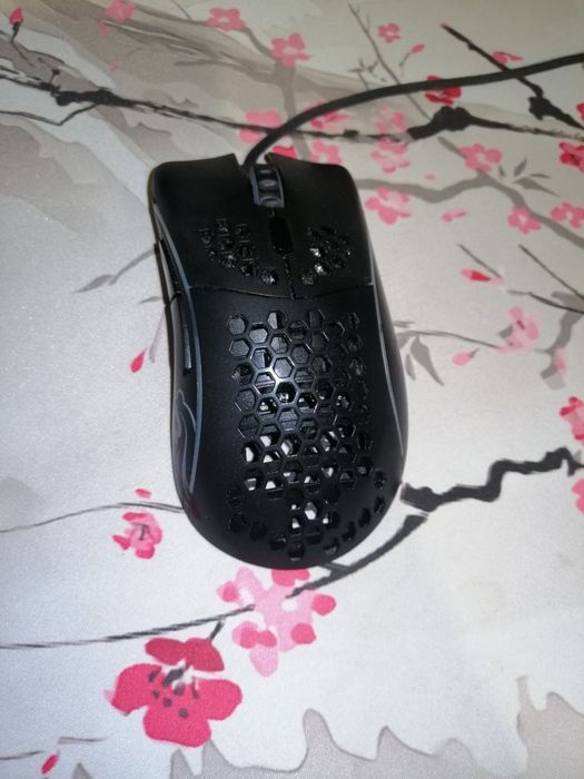 Мишка gloruous model d- (minus)