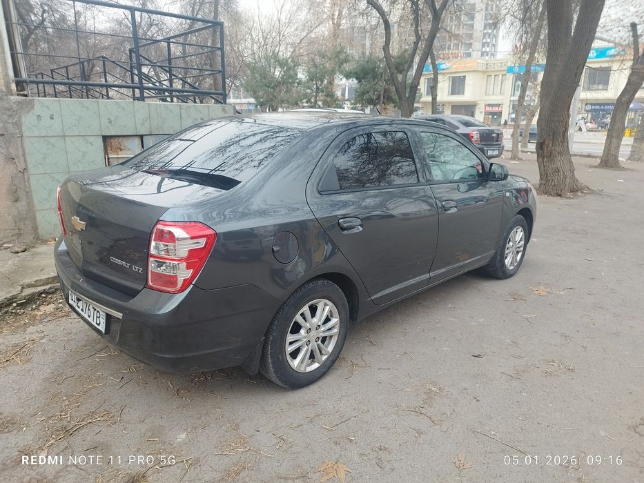 2022/2023 краска тозза