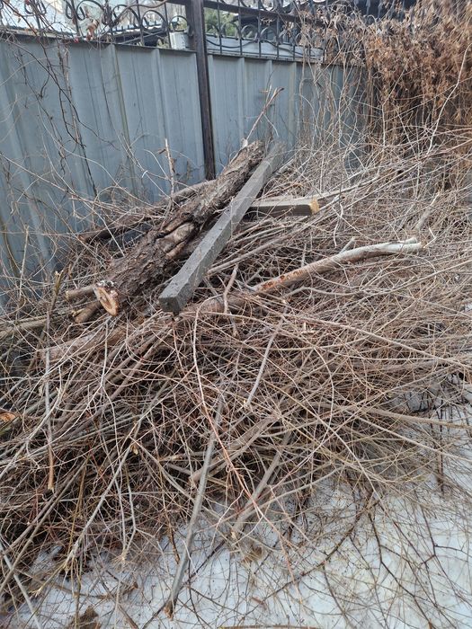 Бесплатно дрова, ветки.