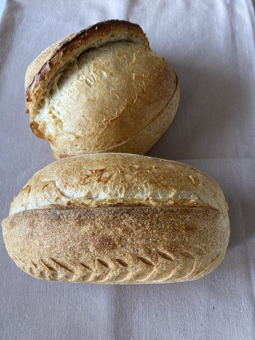 Vand maia naturala Lievito Madre