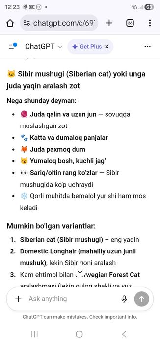 Sibir mushugi juda yuvosh odamga organgan