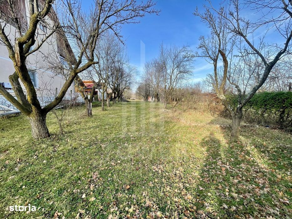 Teren intravilan 1.915 mp + cabană din lemn | Tocile – Sadu