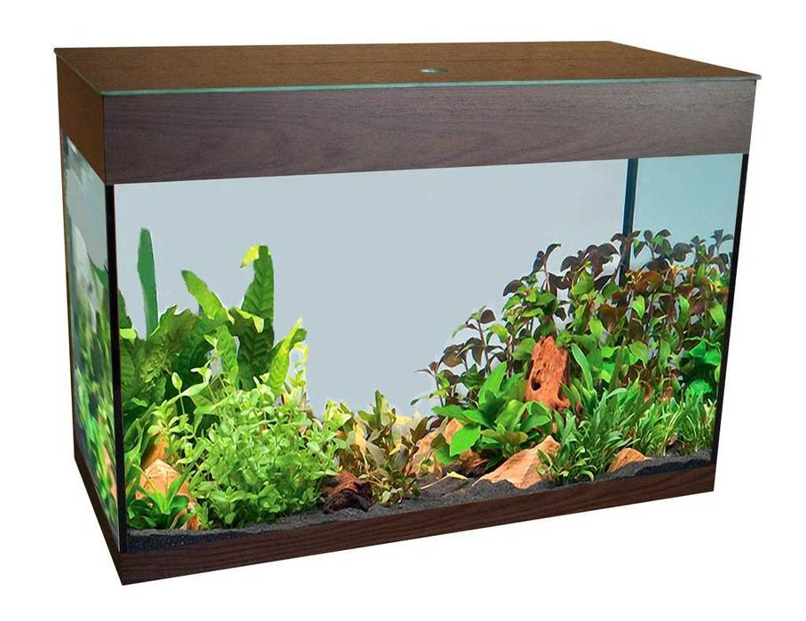 Аквариумы на заказ