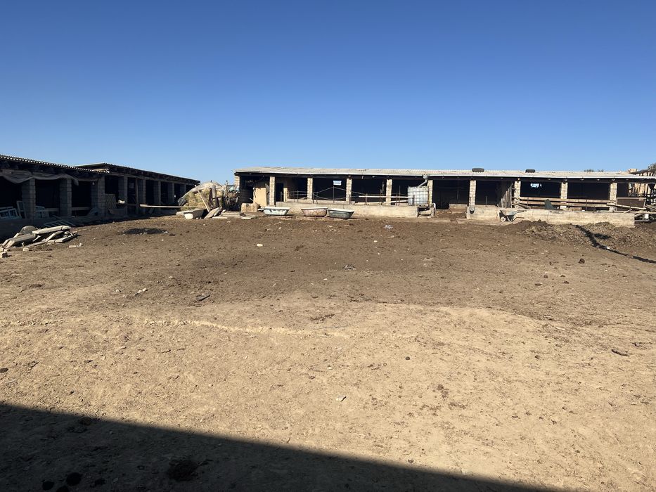 Yer uchaska hovli mol boqishqa sharoyit bor