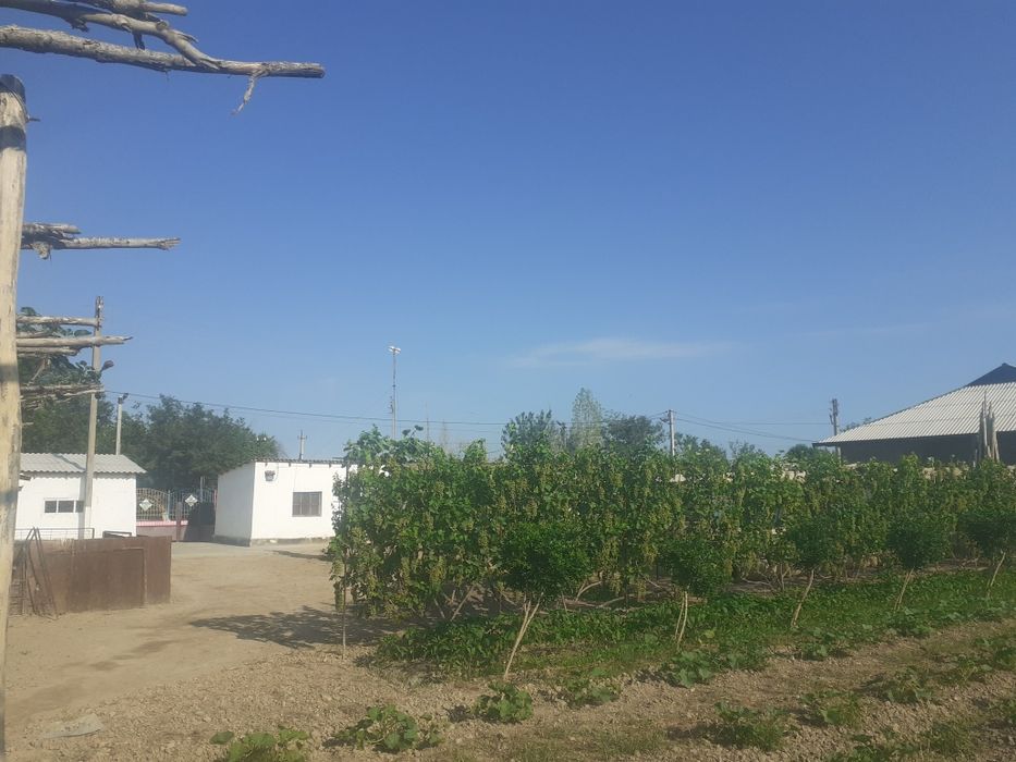 Xovli uy joy Sotiladi !!! Ховли Сотилади.