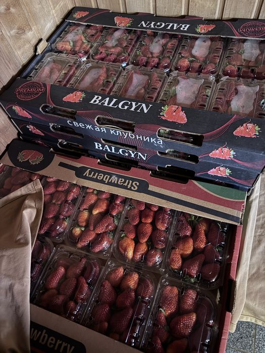 Свежая клубника египет