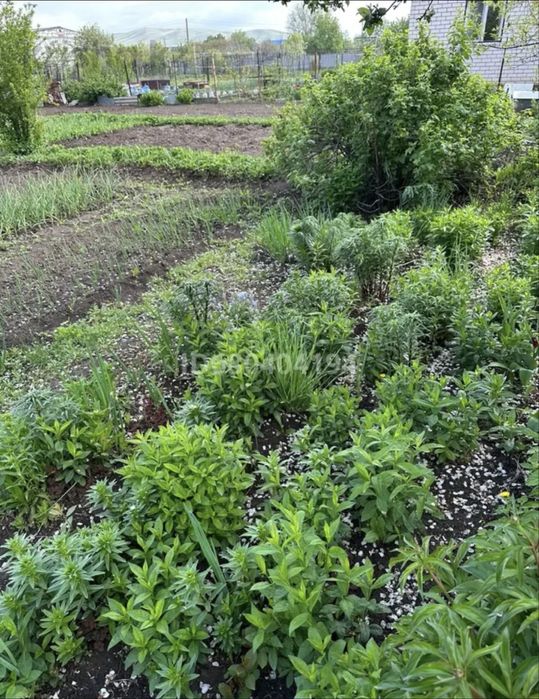 Продам дачный участок с домиком