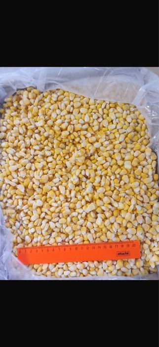 Кукуруза в зернах , производтсво Индия .