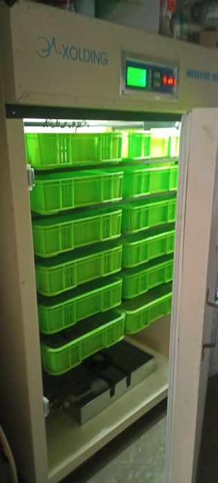 Инкубатор -1056 сотилади