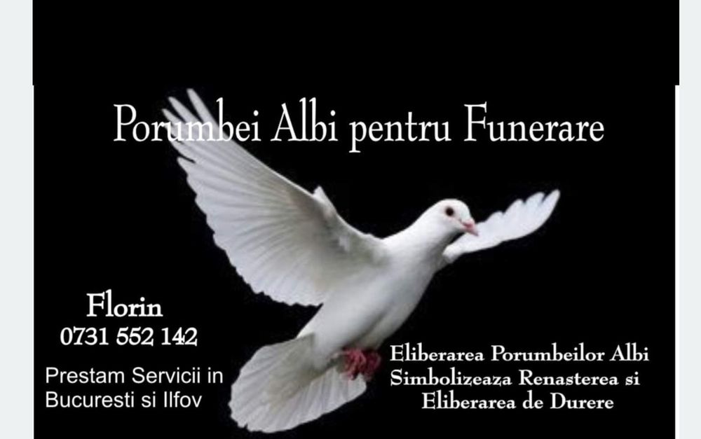 Porumbei la funerarii