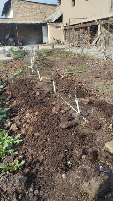 Biogomus va yomğir chuvalchangi