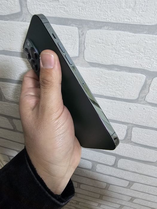 iPhone 13 Pro Max 256 GB Dual