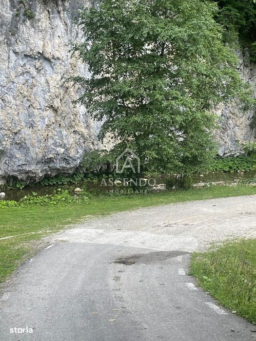 Teren Investiție Turistică Dâmbovicioara Baranga | 4.500 mp