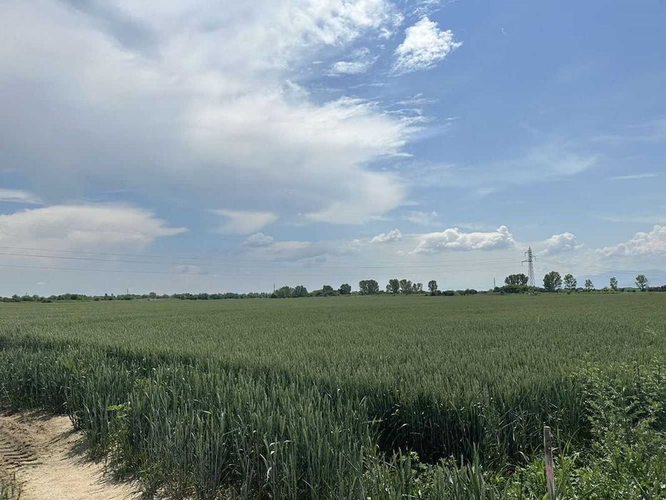 Продава се Парцел в Пловдив, Индустриална зона - Север - 33534 кв.м за 15 €/кв.м - Снимка #6