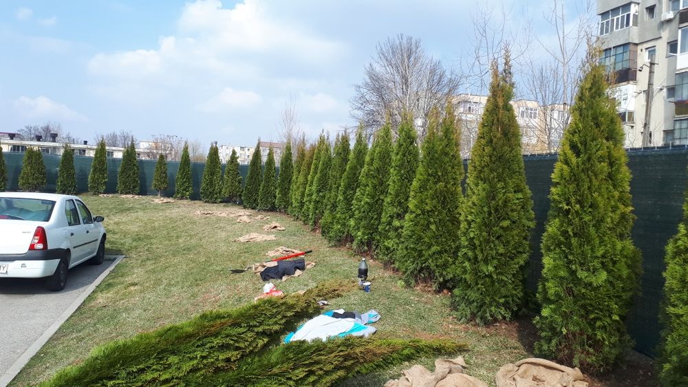 Cauti solutii ptr gradina ,deco garden va scapa de griji