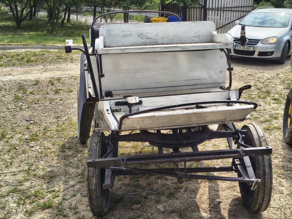 Mânz de 2 ani și 4 luni