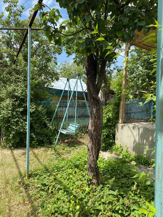 Casa + anexe + vie 1900mp Bichesti, Boghesti, Vrancea