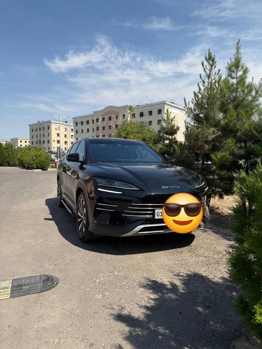 Byd chempion 110 gbrid